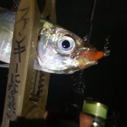 アジング練習 87