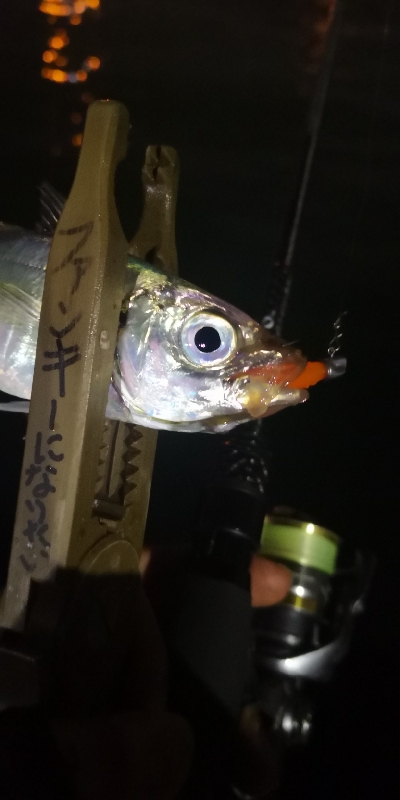 アジング練習 87