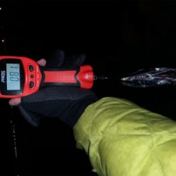 仕事納めタチウオ‼︎