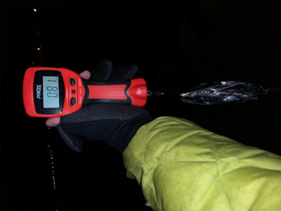 仕事納めタチウオ‼︎