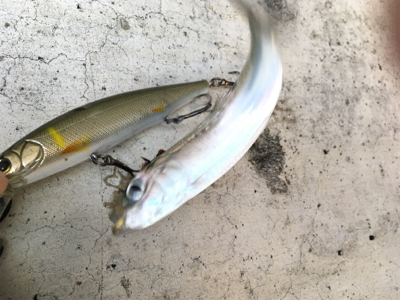 年内最後は不発