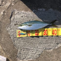 久しぶりの釣り