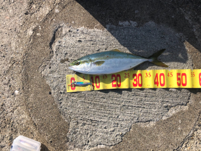 久しぶりの釣り