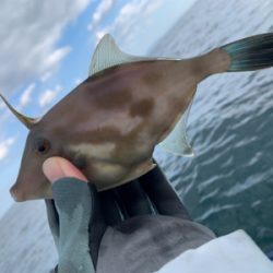 当たり1面湧いた