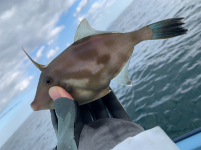 当たり1面湧いた