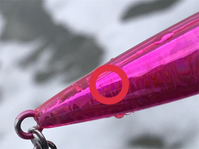 肥えたシーバス