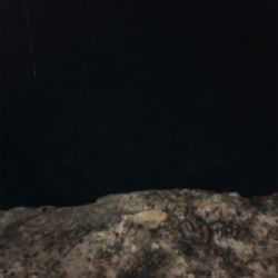 アオリ狙いで釣り納め