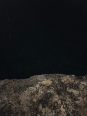 アオリ狙いで釣り納め