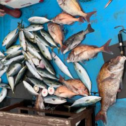 令和最初の年末釣り納め　自己新記録