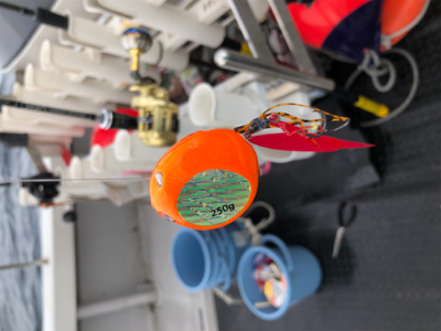 日本海タイラバ