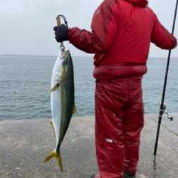 釣納めで初ブリ