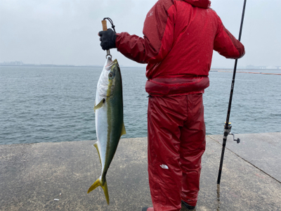 釣納めで初ブリ