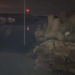 アジ、メバル狙ってたのに