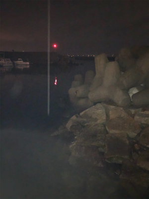 アジ、メバル狙ってたのに