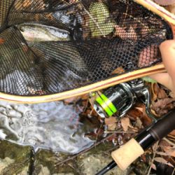 ネイティブトラウト