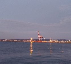 12/1釣果チヌまぁまぁ良いサイズ