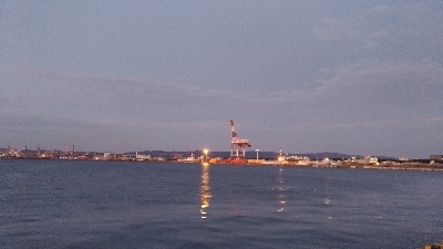 12/1釣果チヌまぁまぁ良いサイズ