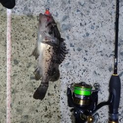 ビッグワームに変えてみると…？