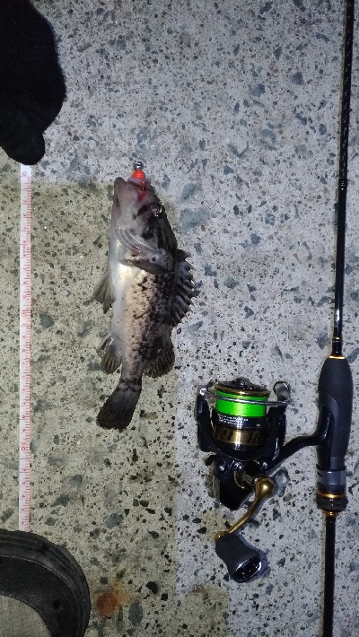 ビッグワームに変えてみると…？