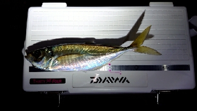 フロートアジング