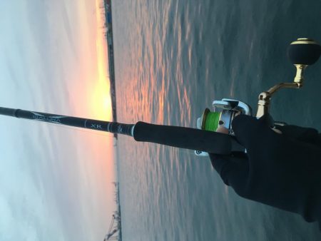 令和元年初魚種！