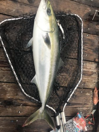 冬はやっぱり釣り堀⁉︎