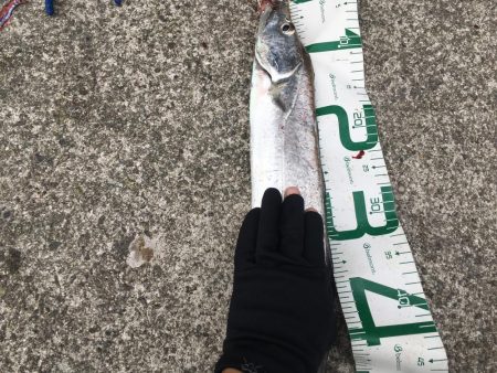 出た！ドラゴン！