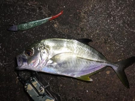 ドブ川メッキゲーム