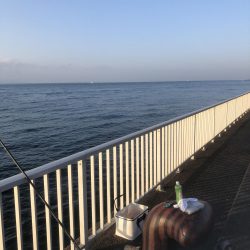 寒グレフカセ釣りはじめました