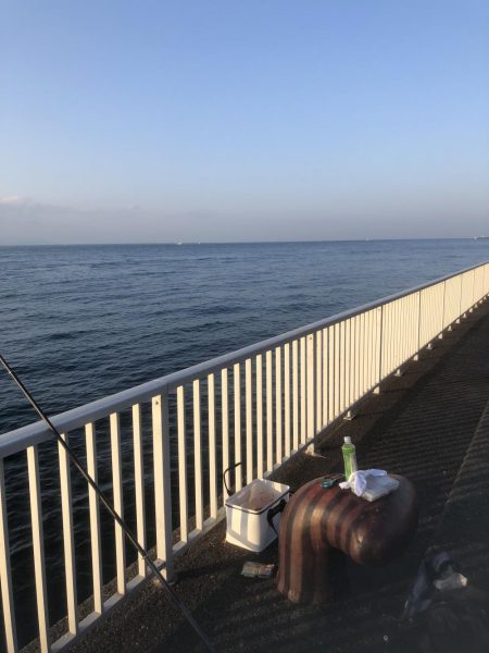 寒グレフカセ釣りはじめました