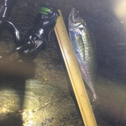 アジングからの村人達