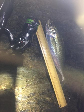 アジングからの村人達