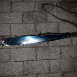 ガジリング&タチウオ