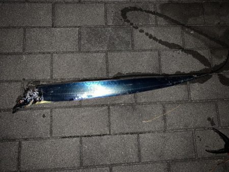 ガジリング&タチウオ