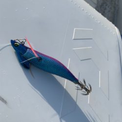 尾鷲のレンタルボート屋『フィッシングオザキ』さん