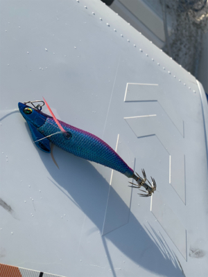 尾鷲のレンタルボート屋『フィッシングオザキ』さん