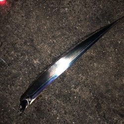 ドラゴン記録更新