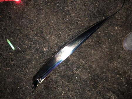 ドラゴン記録更新