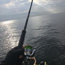 2019年終盤に今年初魚種