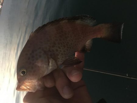 ライトゲーム串本遠征