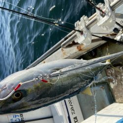 年末最後のジギング