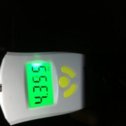 小潮は小場所でマイワシボイル