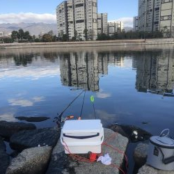 エビ撒きハネ釣りなんですけど何か？