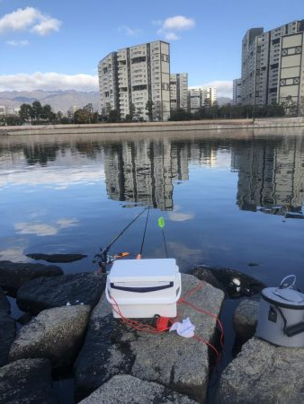 エビ撒きハネ釣りなんですけど何か？
