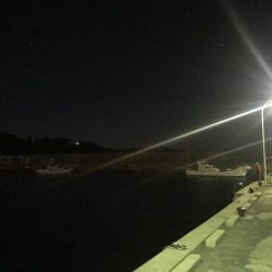 ライトゲームでムツ！