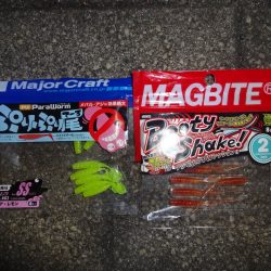 今日はNO1タックルでアジングリベンジ