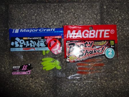 今日はNO1タックルでアジングリベンジ