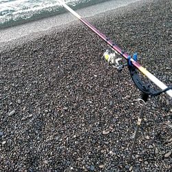 アタリはあるのですか・・・・・　