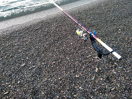 アタリはあるのですか・・・・・　