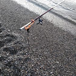 まだまだ小さいようです!!